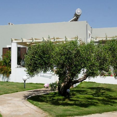 Villa Dimitris 古卡斯特隆 外观 照片